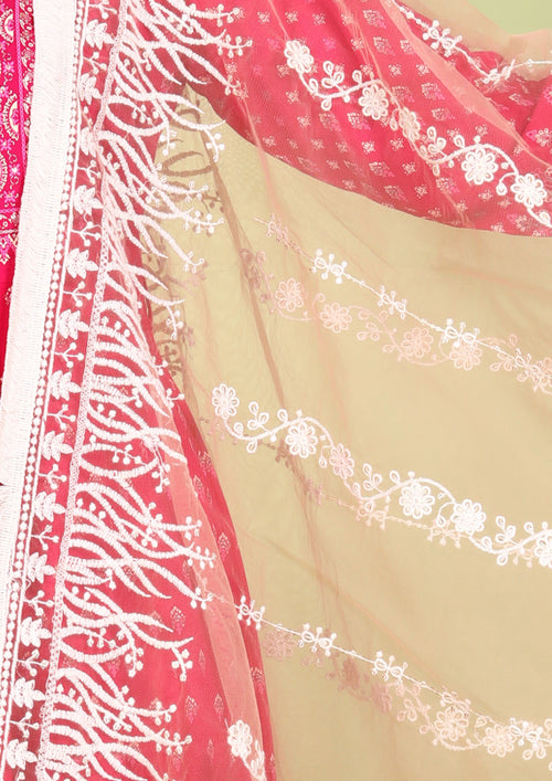 Light Brown Net Embroidered Dupatta for women