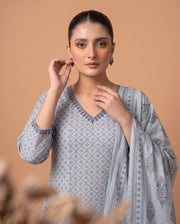 Sky Blue Pure Cotton Printed Ethnic Suit Set with Dupatta
