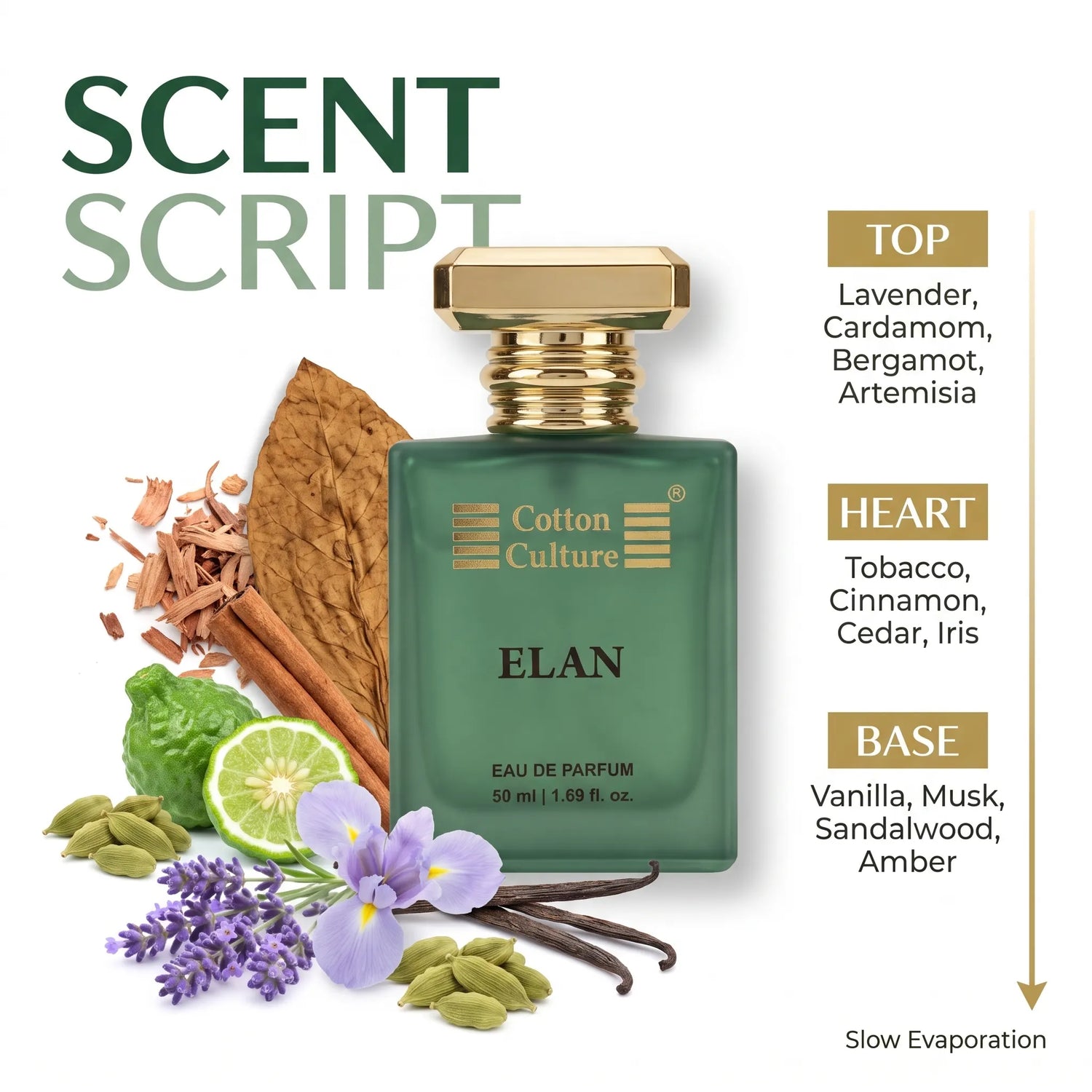 Elan Aromatic Spicy Eau De Parfum