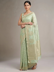 A woman modeling a light sage green saree with subtle woven patterns and a wide border, standing against a neutral gray studio background.