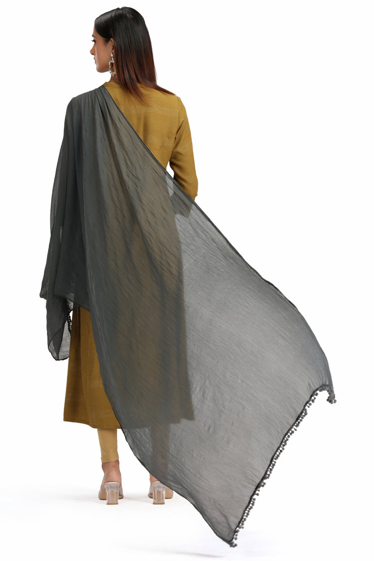 Gray Chiffon Dupatta