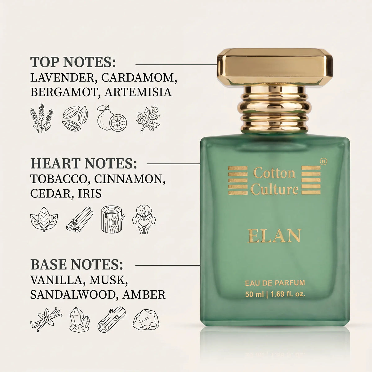 A green rectangular perfume bottle with a gold cap labeled 'Cotton Culture' and 'ELAN', shown on a light beige background with text callouts describing top, heart, and base notes and small line drawings.