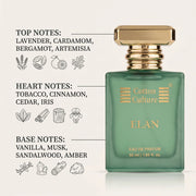 A green rectangular perfume bottle with a gold cap labeled 'Cotton Culture' and 'ELAN', shown on a light beige background with text callouts describing top, heart, and base notes and small line drawings.